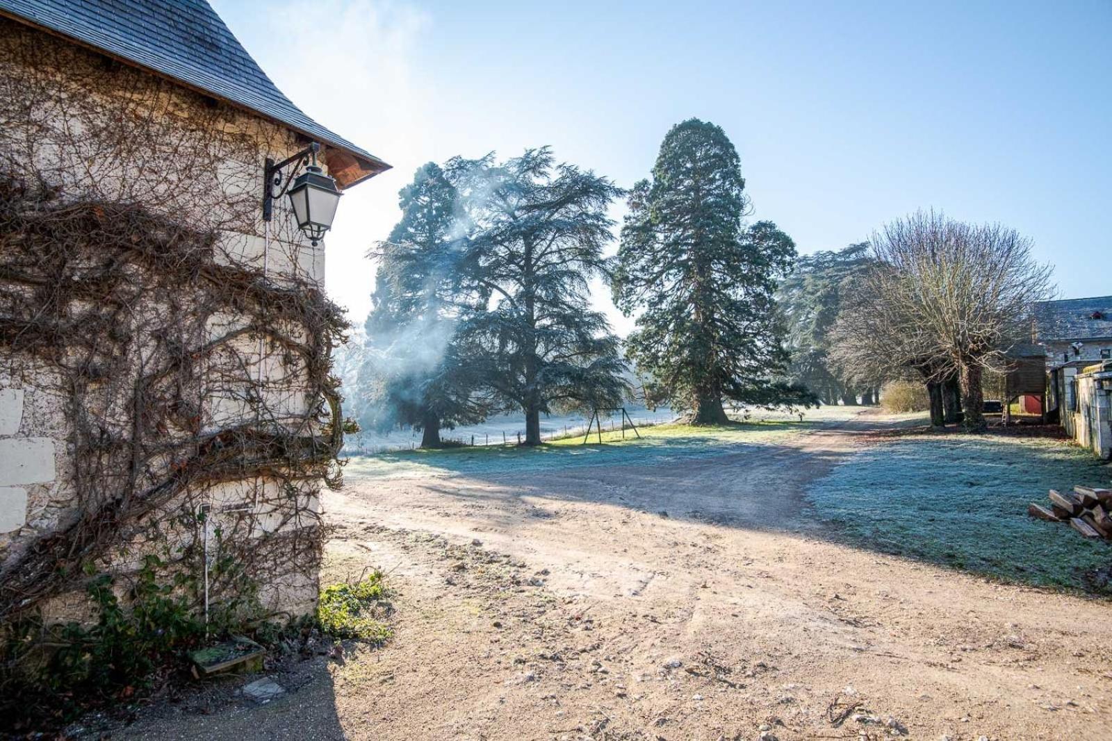 16Th Century Hunting Lodge - Chateau De Nitray Athee-sur-Cher ภายนอก รูปภาพ